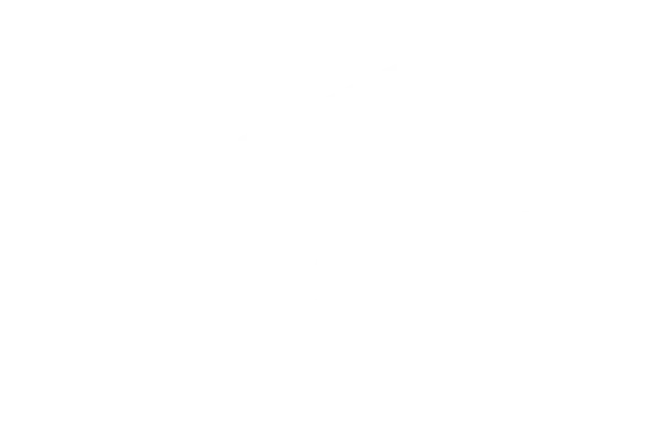 NAS White Transparent